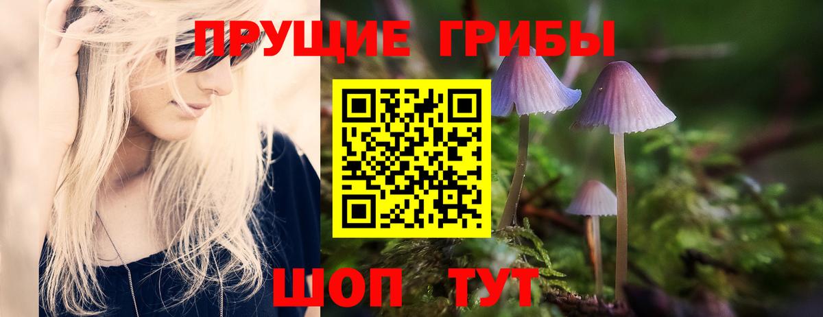 Ишим  Галлюциногенные грибы Magic Shrooms  Вход с VPN  Псилоцибиновые грибы Psilocybe 
